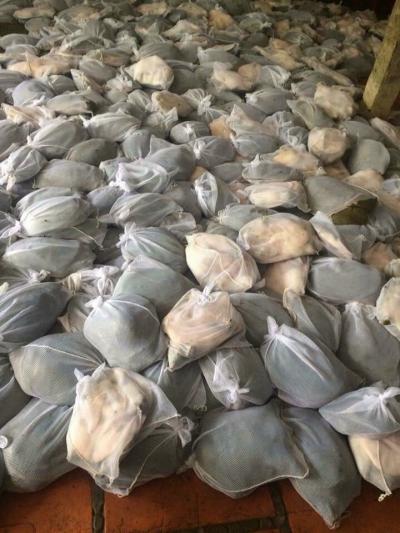 11 bài thuốc quý từ baba – Công dụng của ba ba