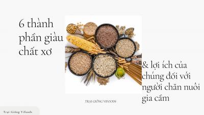 6 thành phần giàu chất xơ và lợi ích của chúng đối với người chăn nuôi gia cầm
