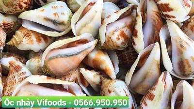 Cung cấp ốc nhảy giao tận nơi