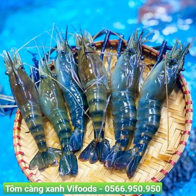 Cung cấp sỉ tôm càng xanh giao tận nơi