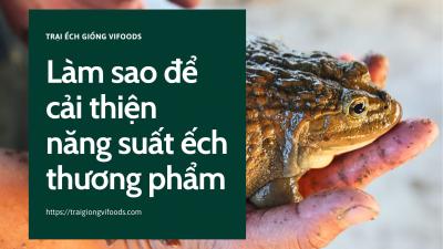 Làm sao để cải thiện năng suất ếch thương phẩm