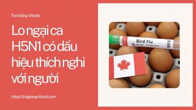 Lo ngại ca H5N1 có dấu hiệu thích nghi với người