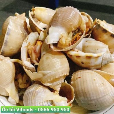 Mua ốc tỏi sỉ giao tận nơi cho nhà hàng quán ăn