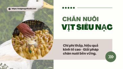 Nuôi vịt siêu nạc: Chi phí thấp, hiệu quả kinh tế cao - Giải pháp chăn nuôi bền vững