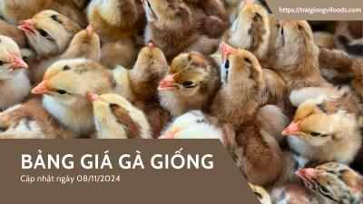Bảng giá gà giống cập nhật ngày 8/11/2024
