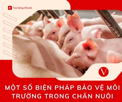 Biện pháp bảo vệ môi trường trong chăn nuôi